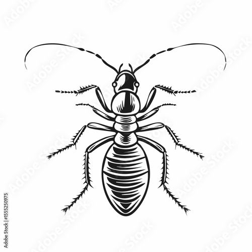 Termite Vector Images. Termite Minimalist Vector Design on white background.