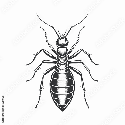 Termite Vector Images. Termite Minimalist Vector Design on white background.
