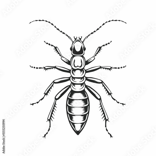 Termite Vector Images. Termite Minimalist Vector Design on white background.