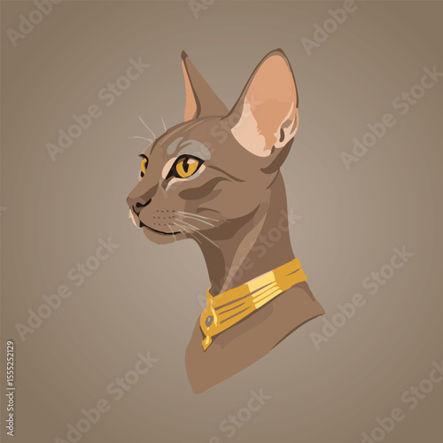 Portrait of a sphynx cat