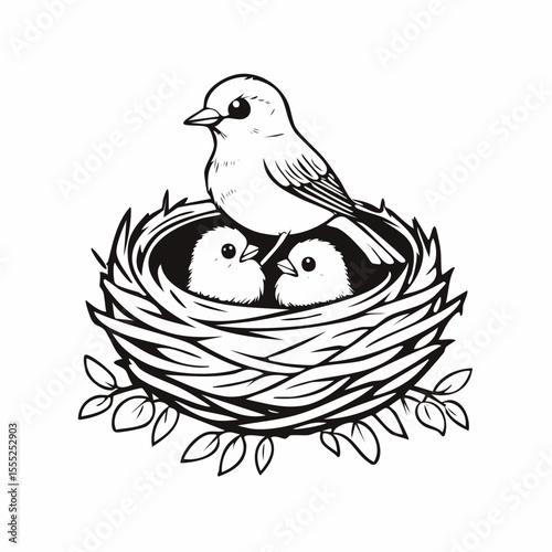 A bird is sitting in a nest with baby birds image vector isolated on white background