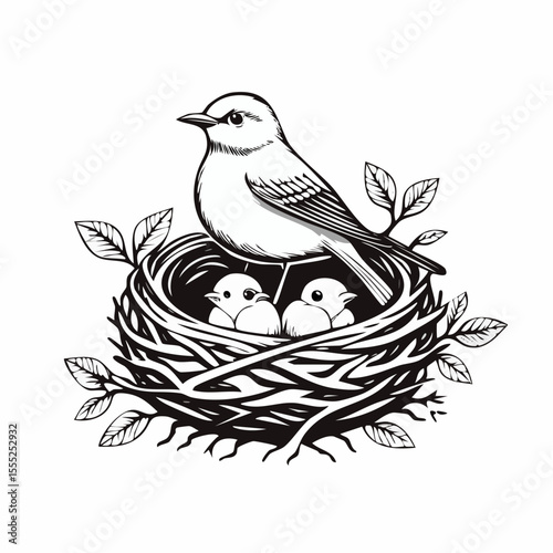 A bird is sitting in a nest with baby birds image vector isolated on white background