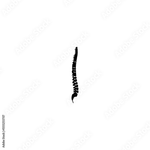 Human spine icon flat vector design. 