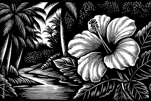 hibiscus flower with wide petals and tropical style, a black and white sketch vector