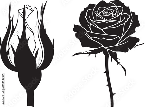 Black and white silhouette of a rose bud and a fully bloomed rose on white background