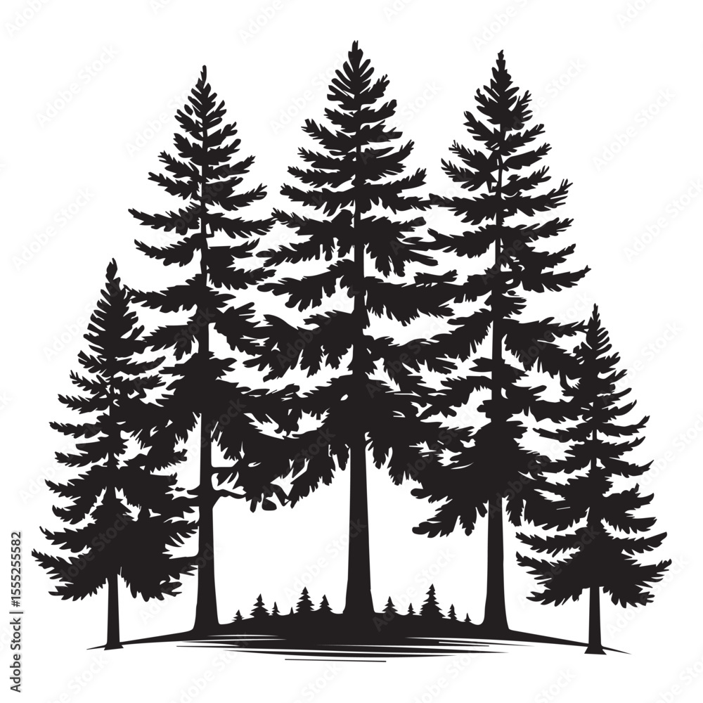 Obraz premium Silhouette of a dense pine forest isolated on white background