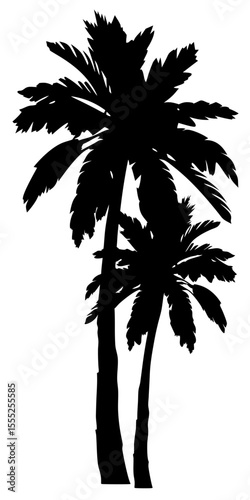 Palm tree silhouette vector in black with tropical leaves on transparent background, isolated exotic nature shape

