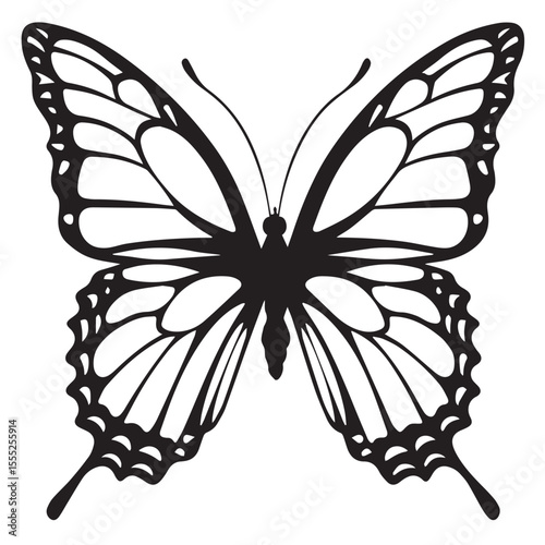 Butterfly with intricate wing pattern isolated on white background