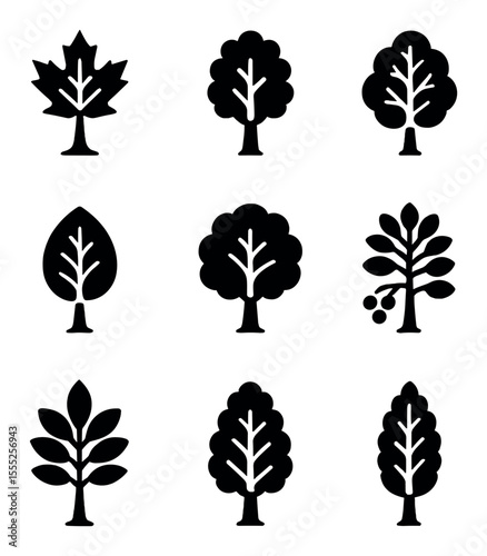 Autumn Tree Icons. Solid, filled icons set of autumn tree types: maple, oak, birch, elm, beech, chestnut,