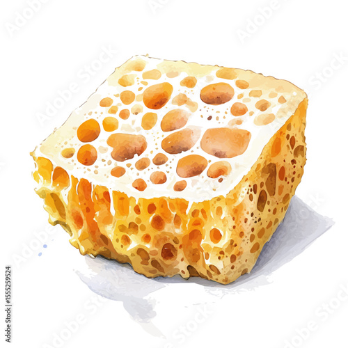 watercolor of Sponge, vector, isolated on a white background.