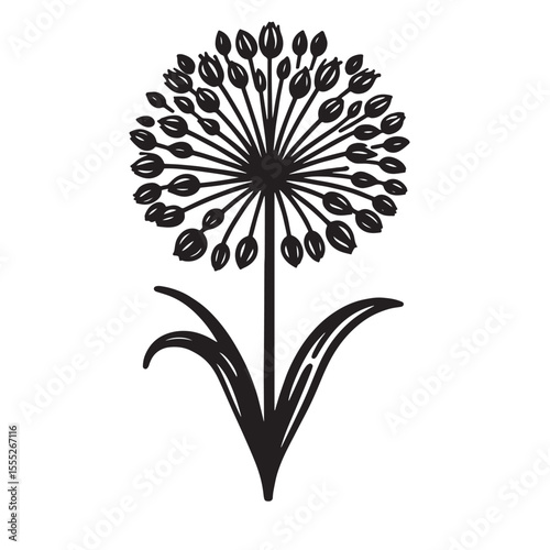Allium Flower SVG