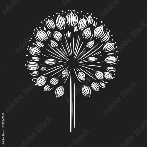 Allium Flower SVG