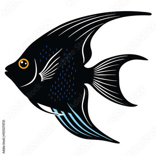 Illustration of a black angelfish with blue and white details isolated on a white background