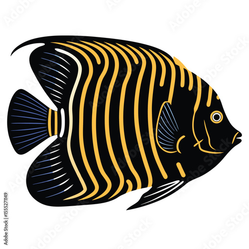 Illustration of an angelfish with black and yellow stripes isolated on a white background animal