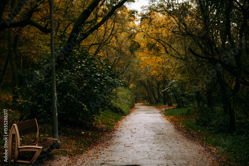Obraz na płótnie Autumn
