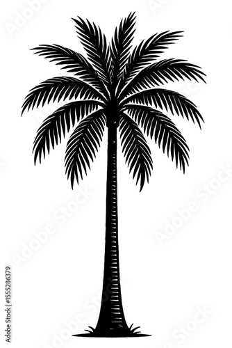 Elegant Black and White Tropical Palm Tree Silhouette Vector - Symbol of Vacation and Exoticism