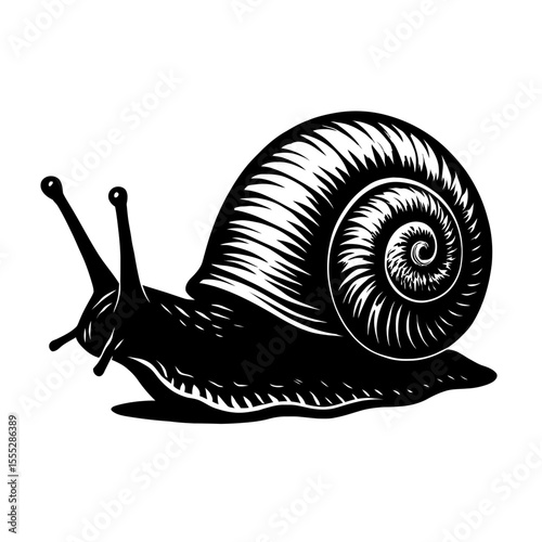Detailed Black and White Snail with Spiral Shell Vector - Garden Creature Illustration