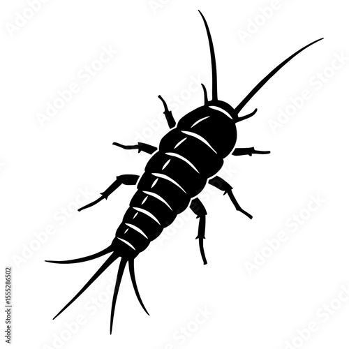 Detailed Black and White Silverfish Insect Vector - Common Household Pest Illustration