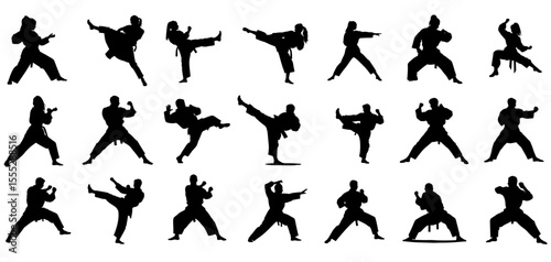 Karate silhouettes in various fighting poses without background  