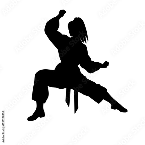 Silhouette of a martial artist performing a stance on a plain background  