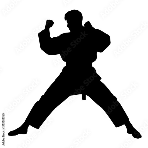 Silhouette of a martial artist in a fighting stance without background  