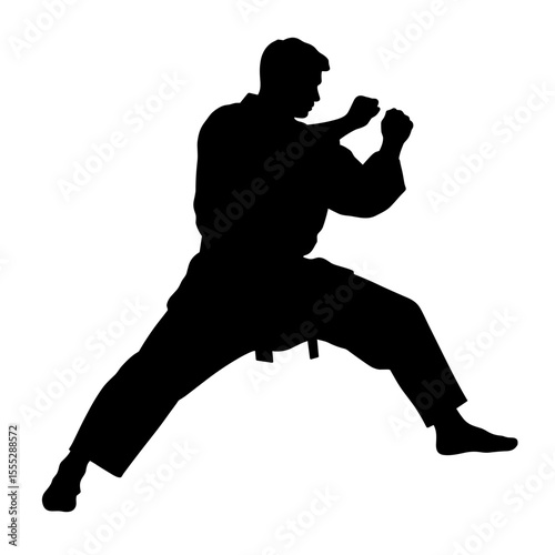 Karate man silhouette in fighting stance without background  