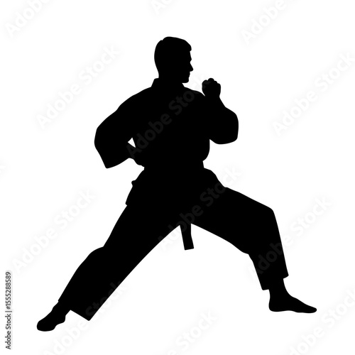 Karate athlete in action silhouette without background  