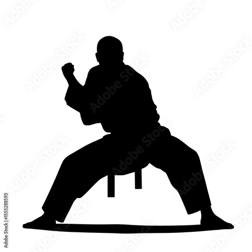 Karate practitioner in silhouette striking a pose without background  