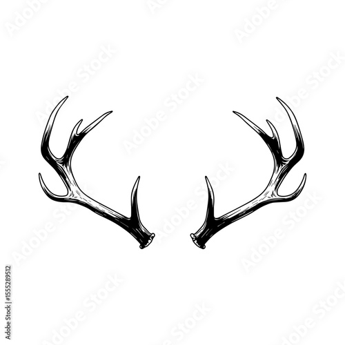silhouette of a deer horn