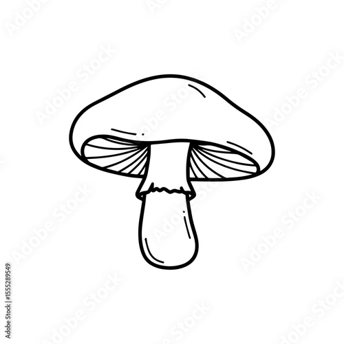 vector illustration of mushroom