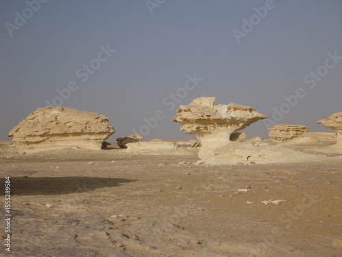 Sandstone Natural Sculptures in White Desert