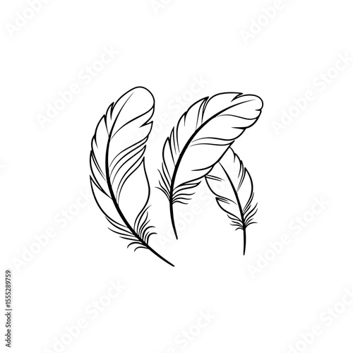 Minimalist Line-Art Feather