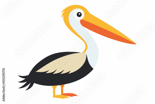 White wild pelican or stork, a water bird, displaying its beak and feathers in nature