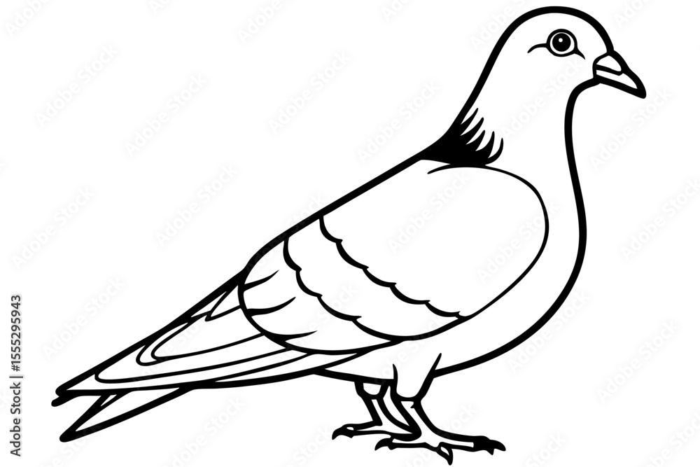 Fototapeta premium White dove, a symbol of peace, isolated on a white background, showcasing its delicate feathers and graceful wings
