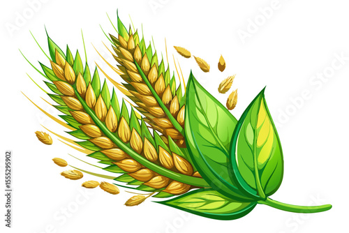 vector of Close-up of a wheat ear with seeds and green leaves on a white background...