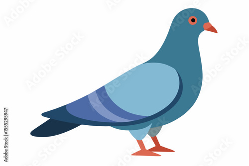 Vector illustration of a peace dove, a grey bird with wings isolated on white, portraying nature's peaceful wildlife