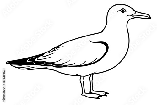 White duck vector illustration with a black silhouette, isolated on a white background, perfect for bird and wildlife art