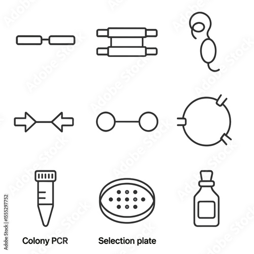 Gene Knockout Icons. Line style icons of Gene Knockout Strategies: homology arms, selection marker cassette, Cre recombinase, LoxP