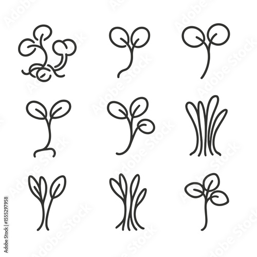 Microgreens Line Icons. Line style icons of Microgreens & Sprouts: alfalfa sprout, radish sprout, broccoli sprout, pea shoot,