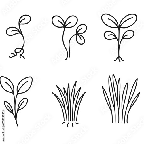 Microgreens Line Icons. Line style icons of Microgreens & Sprouts: alfalfa sprout, radish sprout, broccoli sprout, pea shoot,