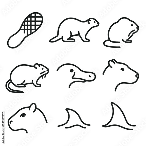 Aquatic Mammals Icons. Line style icons of Aquatic Mammals: beaver tail, otter silhouette, muskrat body, water vole form, platypus