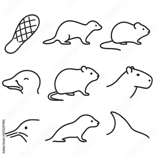Aquatic Mammals Icons. Line style icons of Aquatic Mammals: beaver tail, otter silhouette, muskrat body, water vole form, platypus