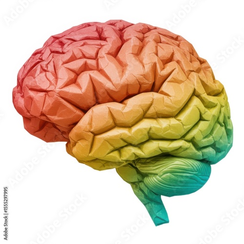 Colorful origami brain model isolated on white background