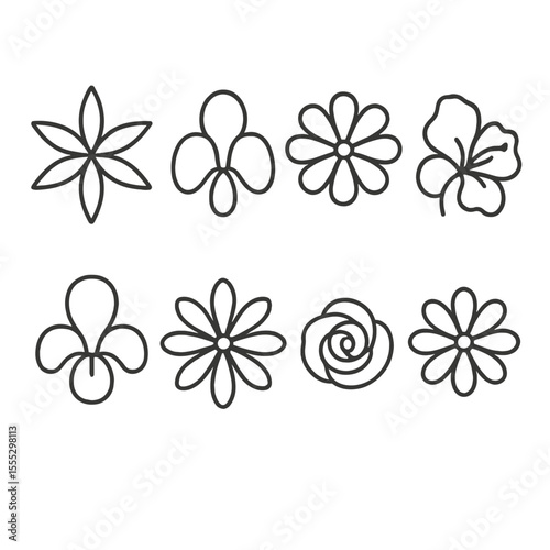 Floral Symmetry Icons. Outline style icons of Floral Symmetry Classes: actinomorphic star, zygomorphic mirror, polysymmetric wheel