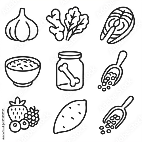 Healthy Ingredients Icons. Outline style icons of Nourishing Ingredients: garlic bulb, ginger root, leafy greens, wild salmon