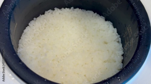 Close-up of freshly cooked white rice in a rice cooker pot