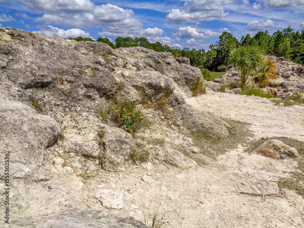 Obraz premium mountain landscape with blue sky
