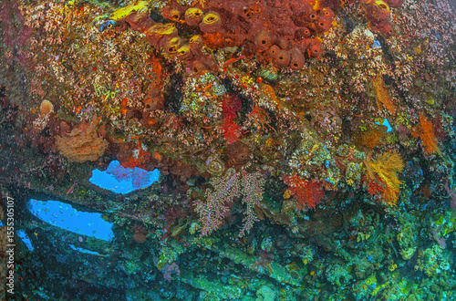 Underwater off the coast of Bali, Liberty Shipwreck