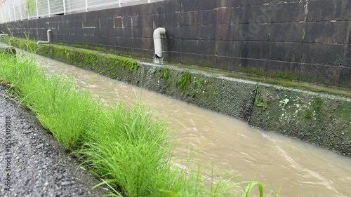 Peaceful close-up of a water drainage channel flowing beside a mossy concrete wall with natural grass in foreground and birds chirping in the background. Captured in Japan countryside.