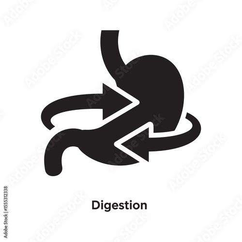 Stomach digestion icon with arrows indicating metabolic process and gastric function for healthy food breakdown and nutrient absorption in the body vector solid glyph icon
